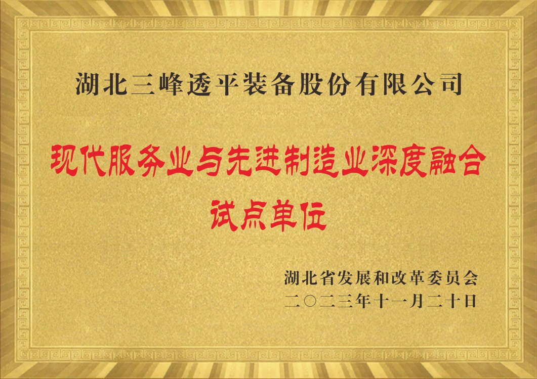 Pilot Unit for Deep Integration of Modern Services and Advanced Manufacturing