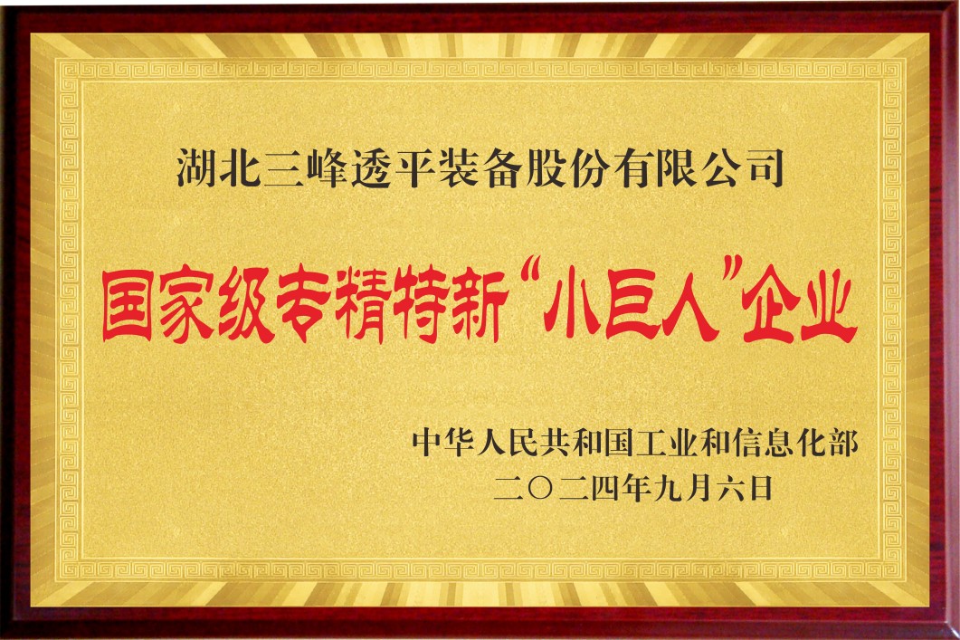 National-Level Specialized and Innovative Little Giant Enterprise